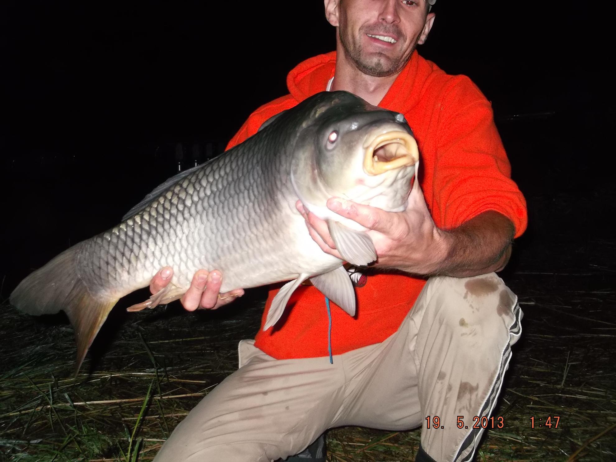 noaptea partea a ll - dscf0623.JPG